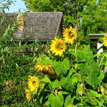 Siedlisko Sobibor Villa Bagian luar foto